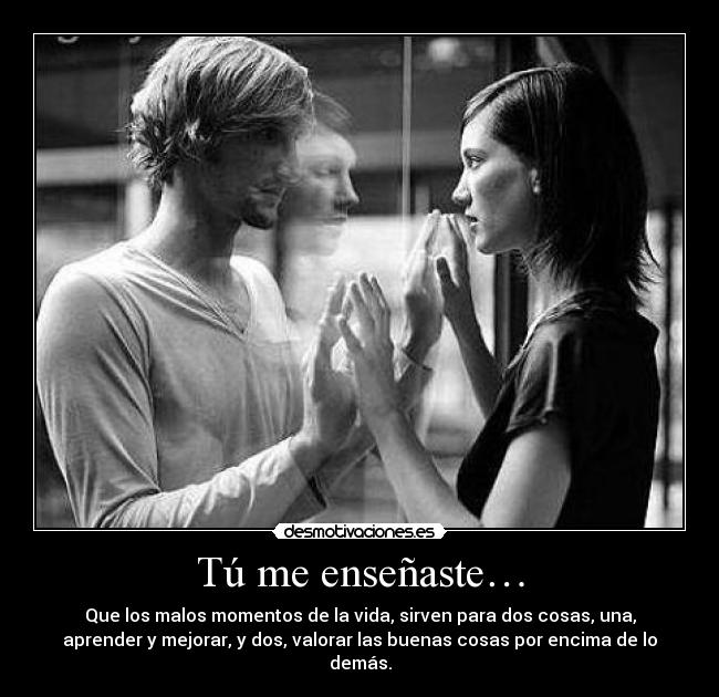 carteles tu ensenaste desmotivaciones