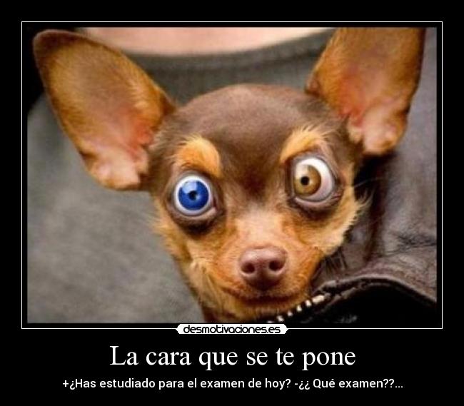 La cara que se te pone -