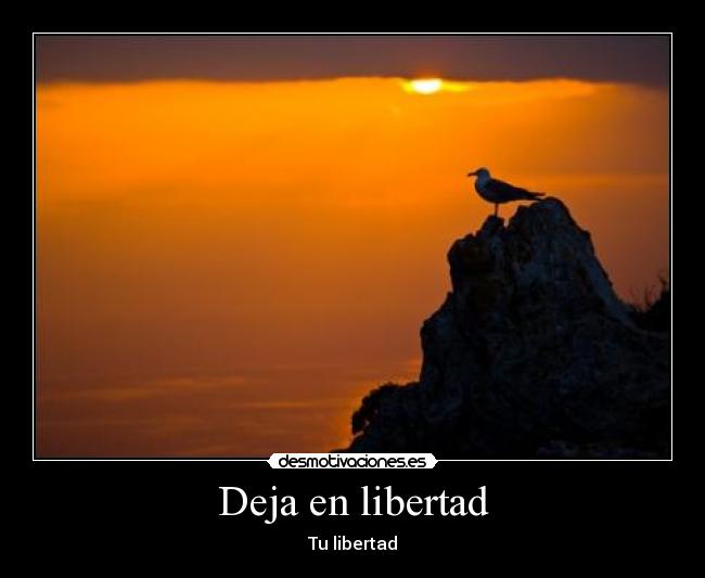 Deja en libertad - Tu libertad