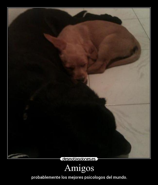 Amigos - probablemente los mejores psicologos del mundo.