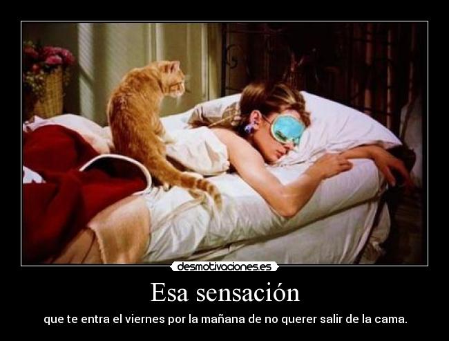 carteles fin semana por favor desmotivaciones