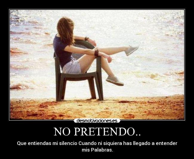 NO PRETENDO.. - 