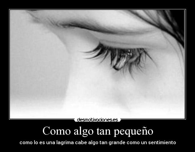 carteles como algo tan pequeno desmotivaciones