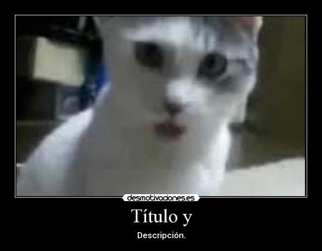 Título y - Descripción.
