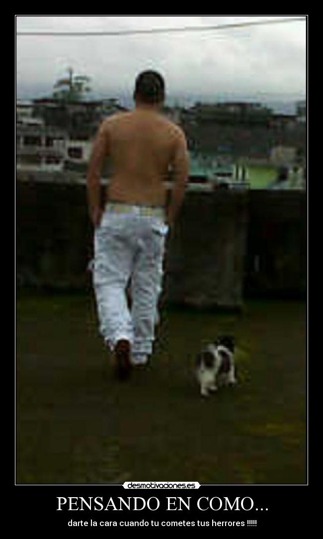 carteles ahahahha desmotivaciones