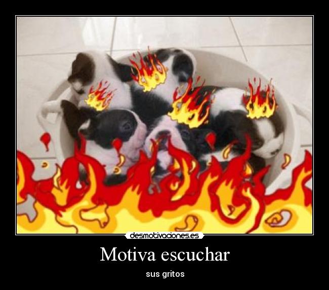 Motiva escuchar - sus gritos