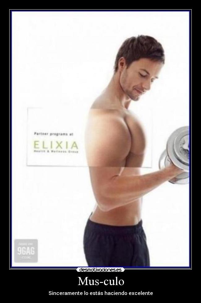 Mus-culo -