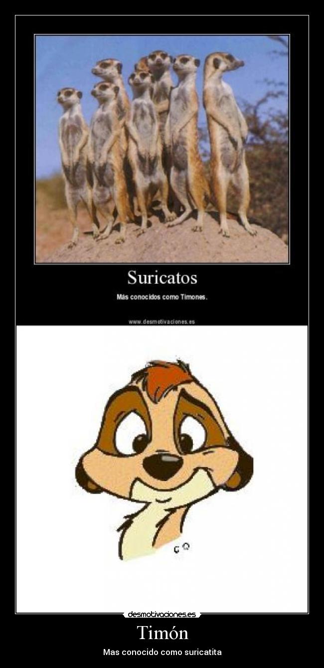 carteles  desmotivaciones