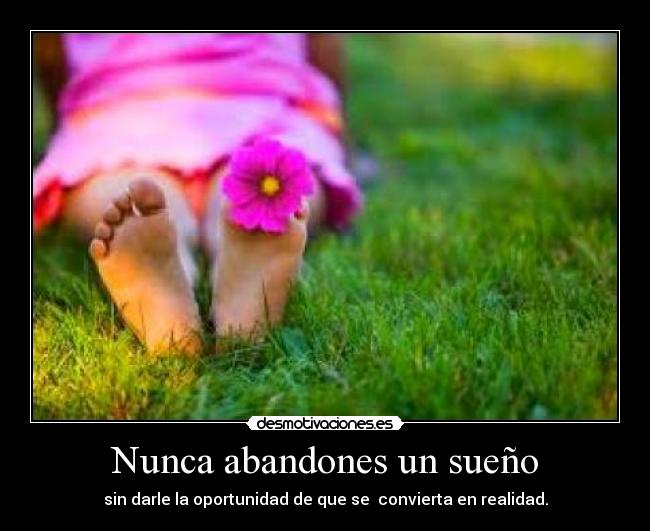 Nunca abandones un sueño - sin darle la oportunidad de que se convierta en realidad.