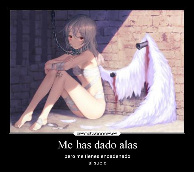 Me has dado alas - 