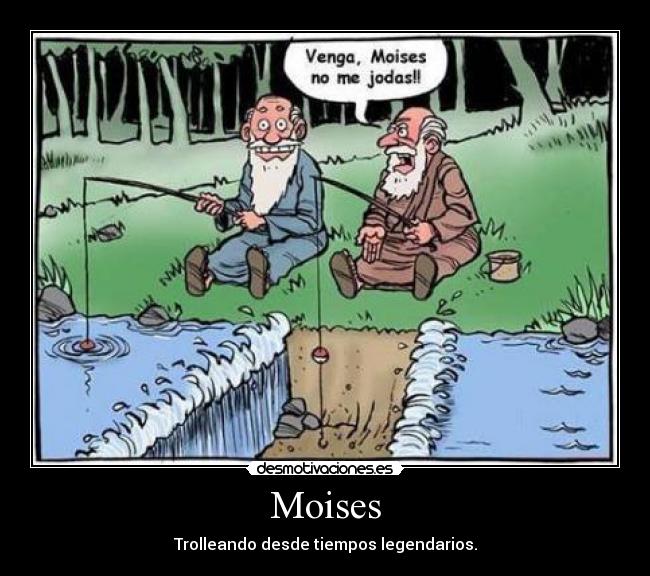 carteles troll desmotivaciones