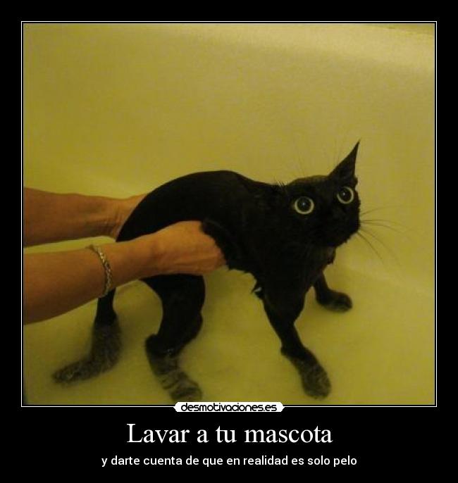 carteles eften pasado hasta con tortuga desmotivaciones