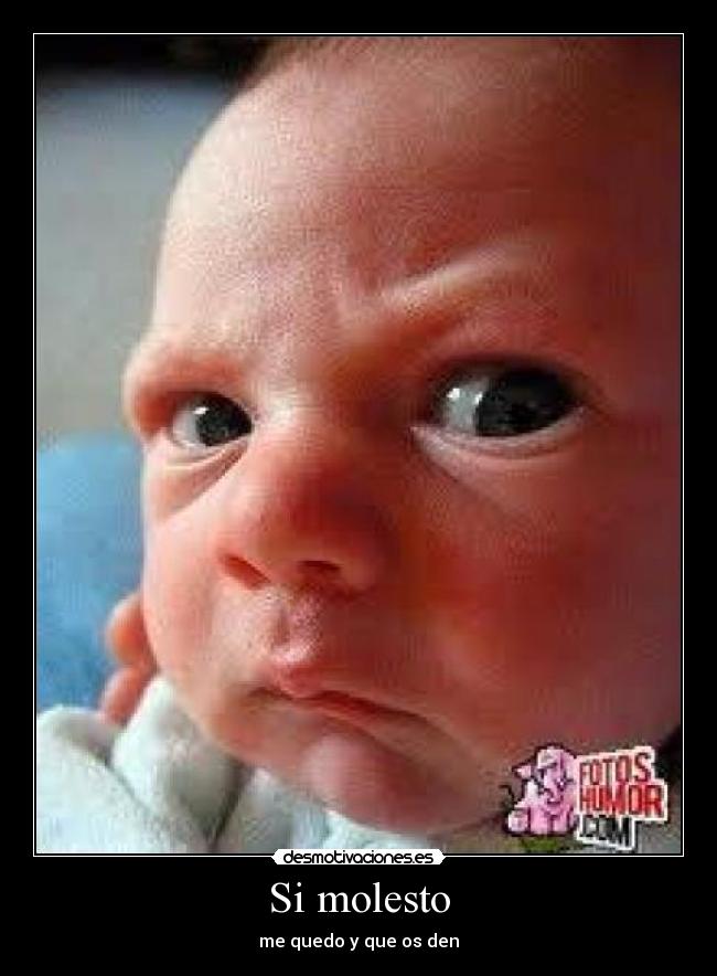 Si molesto - me quedo y que os den