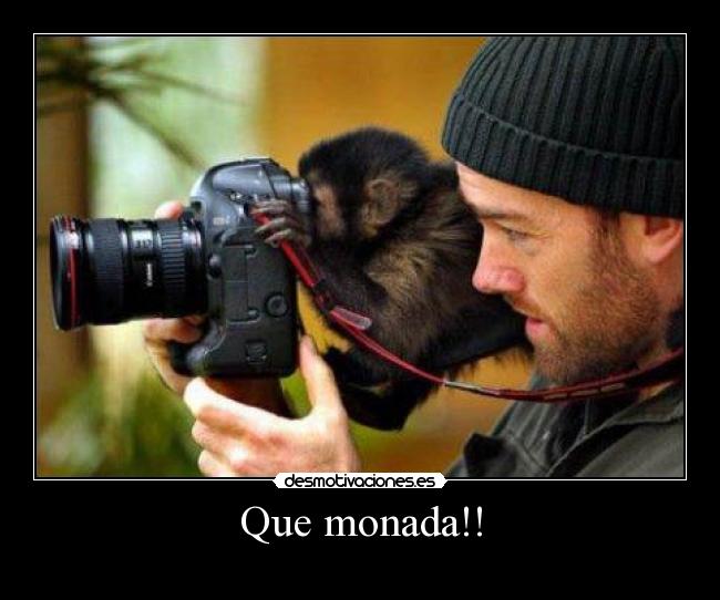 Que monada!! - 