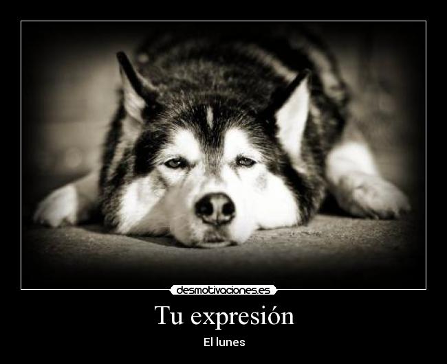 Tu expresión - El lunes