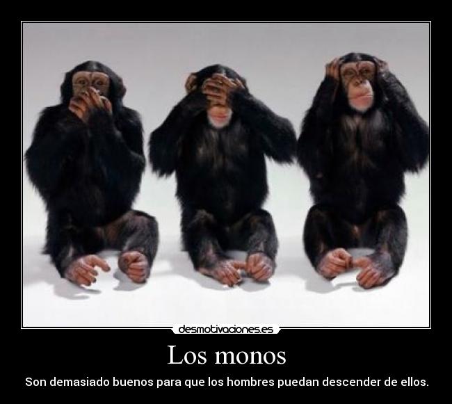 Los monos - 