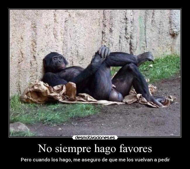 No siempre hago favores - Pero cuando los hago, me aseguro de que me los vuelvan a pedir