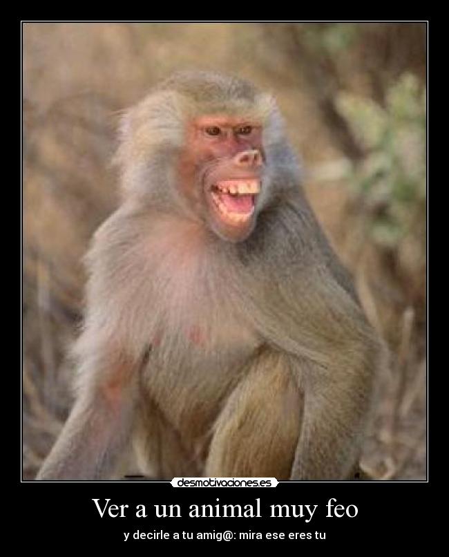 carteles tamara1695 amigo animal feo desmotivaciones