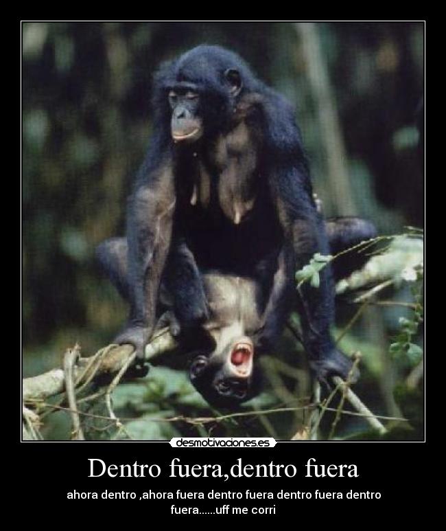 carteles asasdasdasadadchadadsasdasdas rapid clanhoygan clancii desmotivaciones