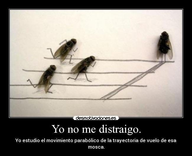 Yo no me distraigo. - Yo estudio el movimiento parabólico de la trayectoria de vuelo de esa mosca.
