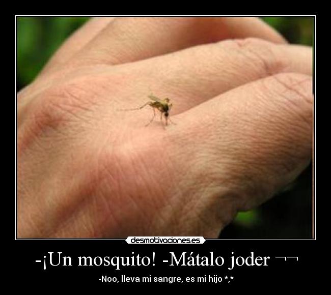 -¡Un mosquito! -Mátalo joder ¬¬ - -Noo, lleva mi sangre, es mi hijo *,*