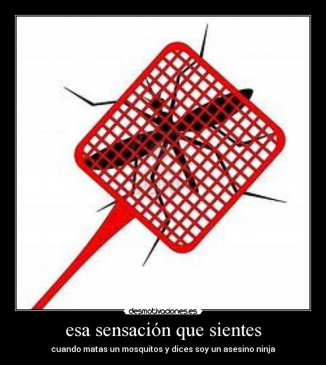 esa sensación que sientes - cuando matas un mosquitos y dices soy un asesino ninja