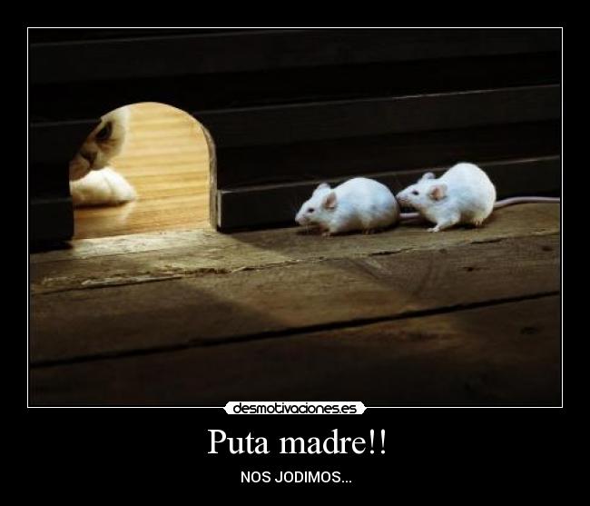 Puta madre!! - NOS JODIMOS...