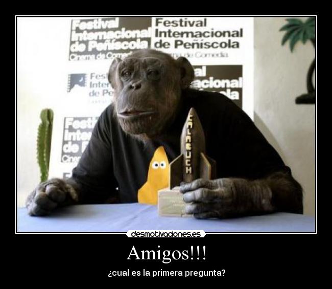 Amigos!!! - 