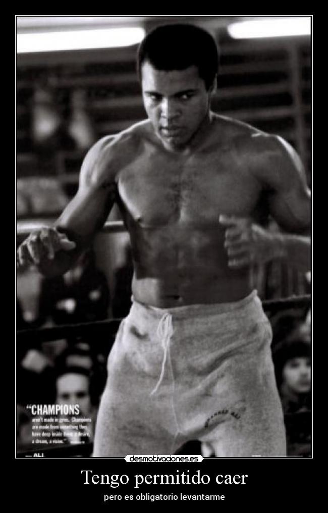 Tengo permitido caer - 