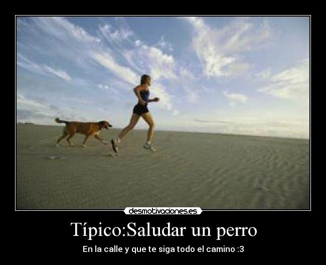 Típico:Saludar un perro -