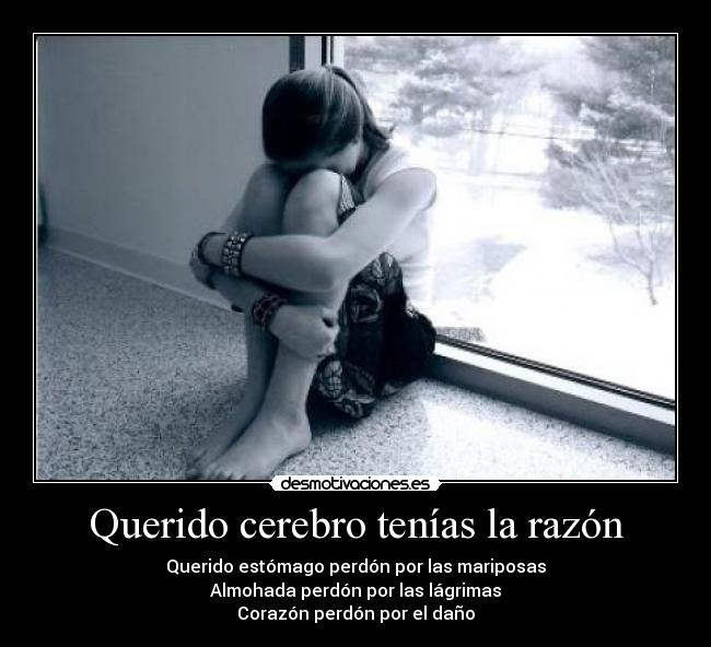 Querido cerebro tenías la razón -