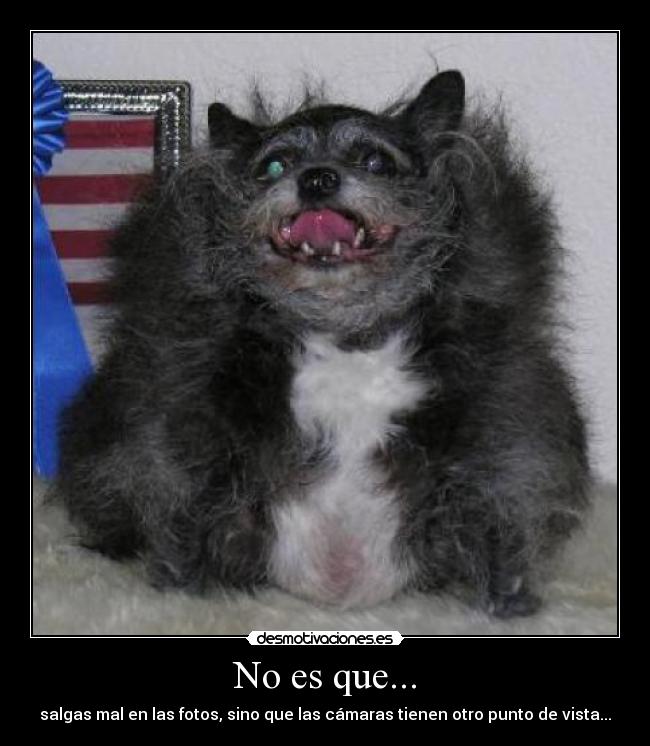 carteles camaras desmotivaciones