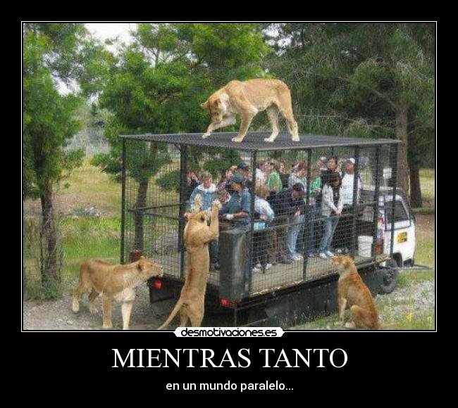 MIENTRAS TANTO - en un mundo paralelo...