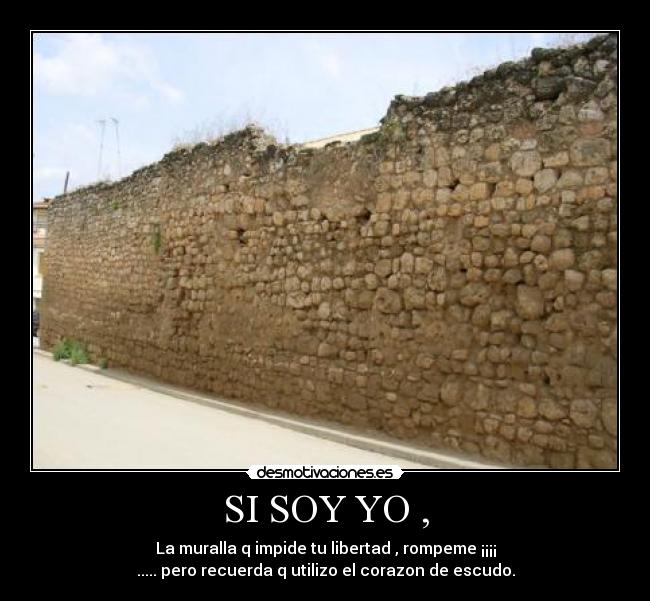 carteles mayra samuel daniela desmotivaciones