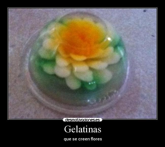 Gelatinas - que se creen flores