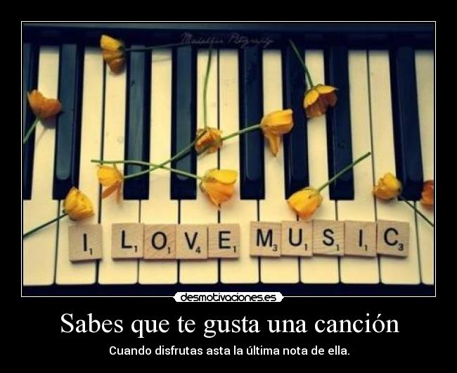 Sabes que te gusta una canción - Cuando disfrutas asta la última nota de ella.
