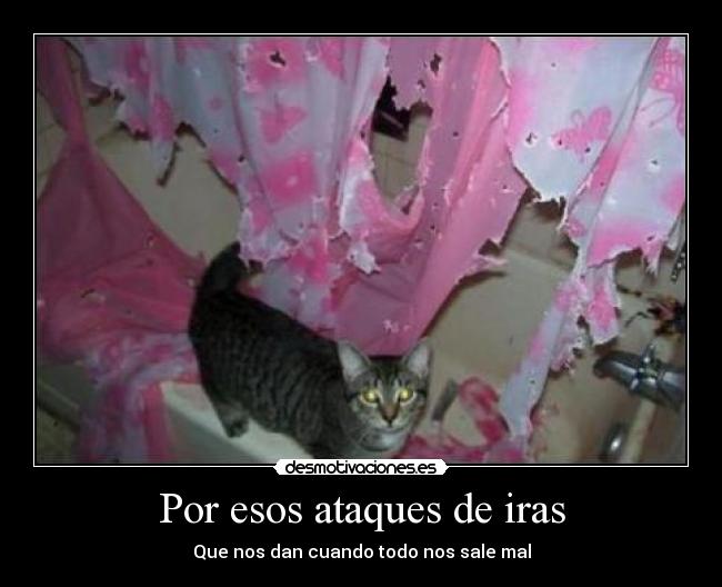 Por esos ataques de iras - Que nos dan cuando todo nos sale mal