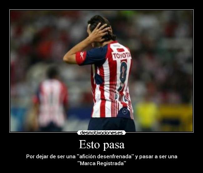 daftar harga 30 mejores im 225 genes de chivas de corazon chivas de termurah 2018 www daftar harga 30 mejores im 225 genes de chivas de corazon chivas de termurah 2018 www