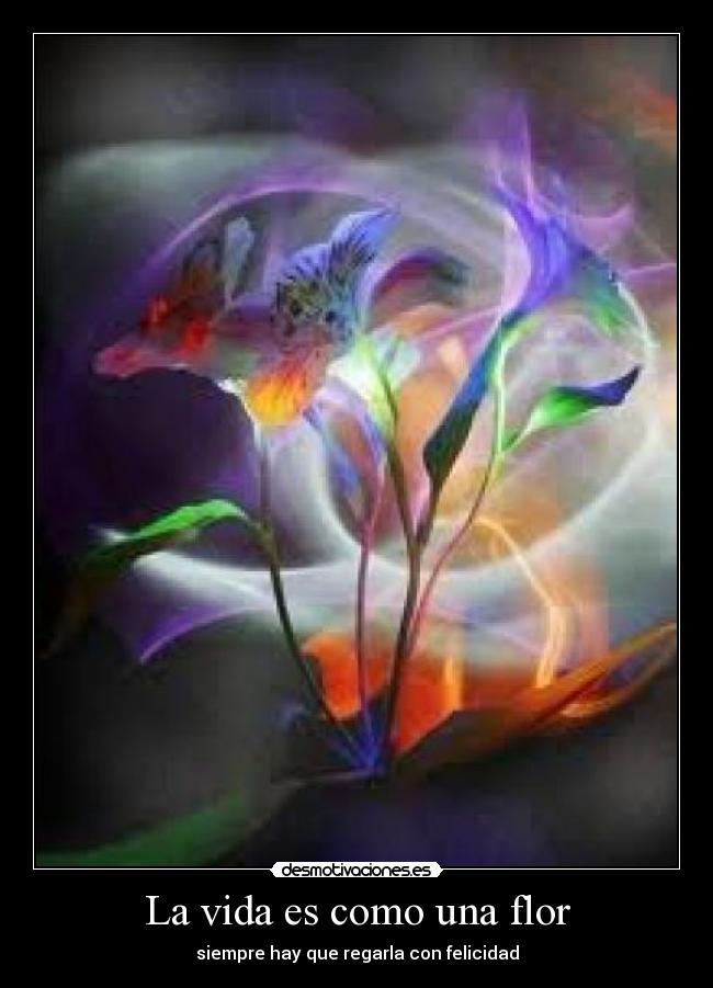 La vida es como una flor - siempre hay que regarla con felicidad
