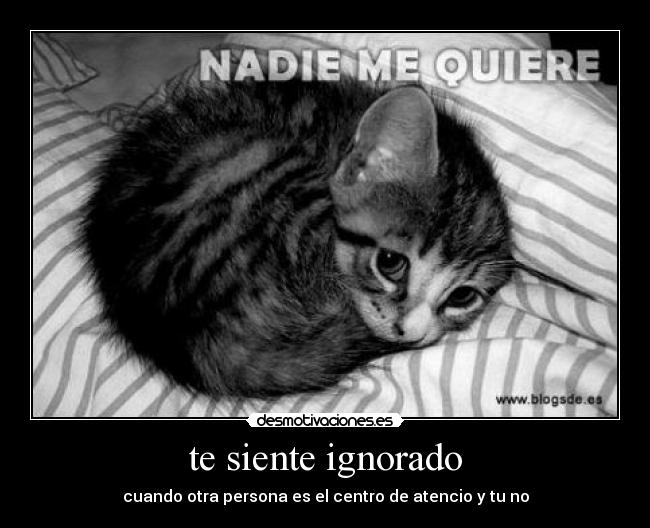 te siente ignorado - cuando otra persona es el centro de atencio y tu no