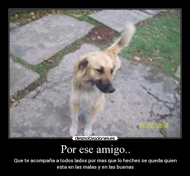 Por ese amigo.. - Que te acompaña a todos lados por mas que lo heches se queda quien
esta en las malas y en las buenas
