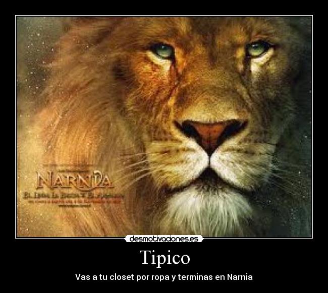 Tipico - Vas a tu closet por ropa y terminas en Narnia