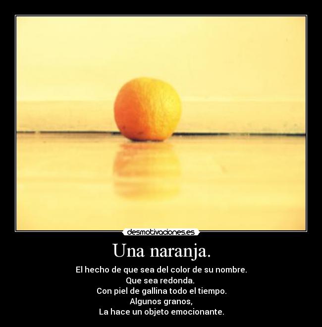 Una naranja. - El hecho de que sea del color de su nombre.
Que sea redonda.
Con piel de gallina todo el tiempo.
Algunos granos,
La hace un objeto emocionante.