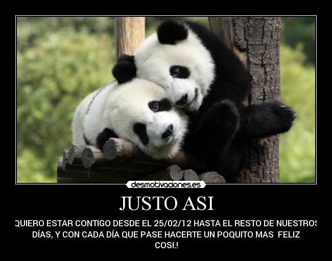 JUSTO ASI - QUIERO ESTAR CONTIGO DESDE EL 25/02/12 HASTA EL RESTO DE NUESTROS
DÍAS, Y CON CADA DÍA QUE PASE HACERTE UN POQUITO MAS ♥FELIZ♥
COSI.!