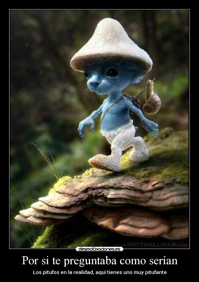 Por si te preguntaba como serÃan - Los pitufos en la realidad, aquà tienes uno muy pitufante