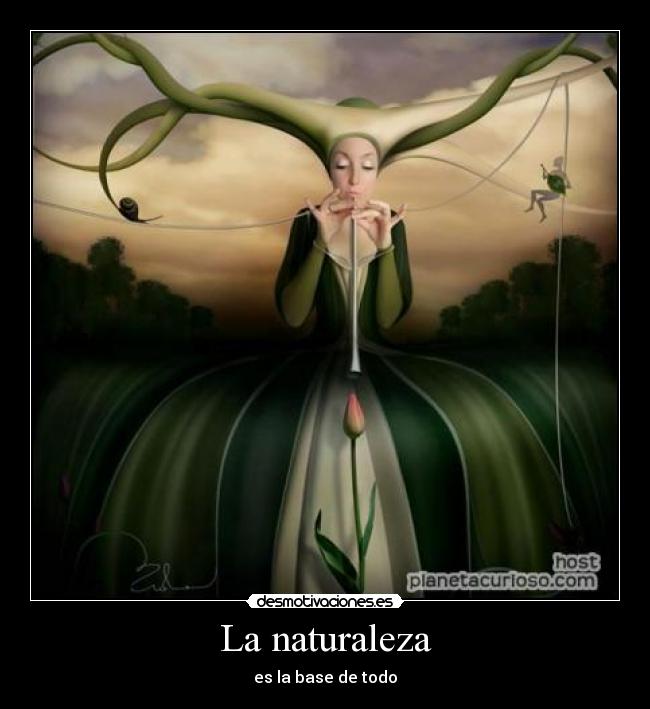 carteles naturaleza tokies desmotivaciones
