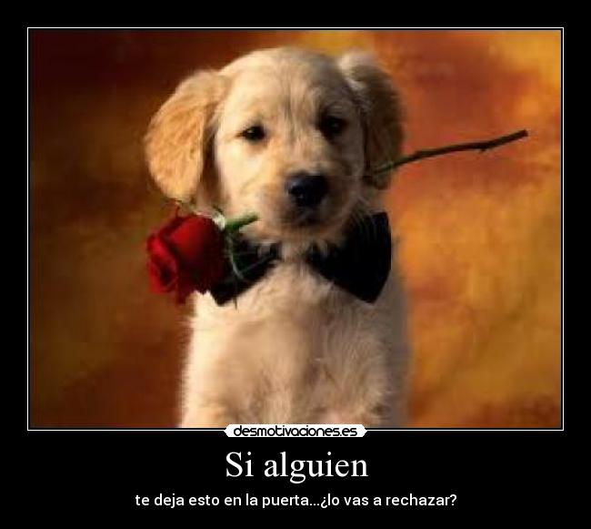 Si alguien -