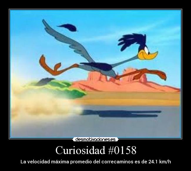 carteles velocidad maxima promedio del correcaminos 241 kmh desmotivaciones