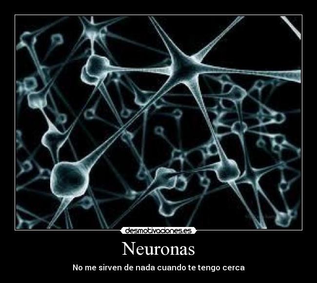 Neuronas -