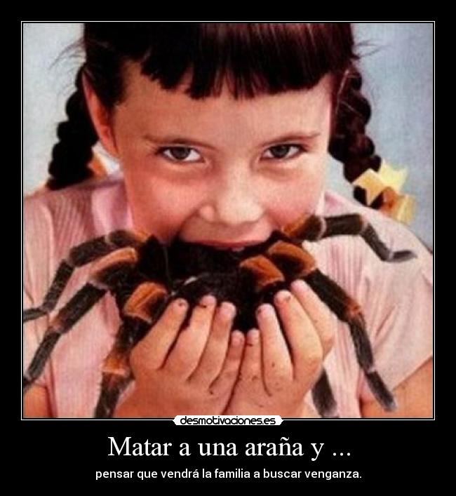 Matar a una araña y ... -
